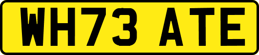 WH73ATE