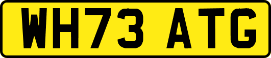 WH73ATG
