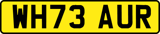 WH73AUR