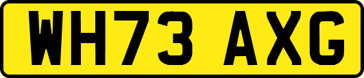 WH73AXG