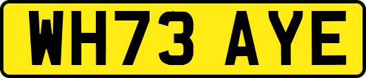 WH73AYE
