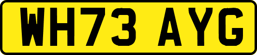 WH73AYG