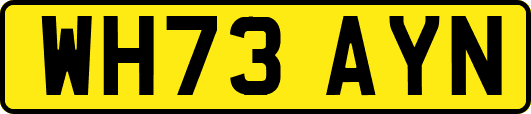 WH73AYN