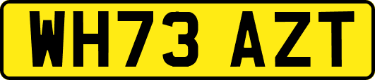 WH73AZT