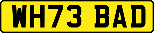 WH73BAD