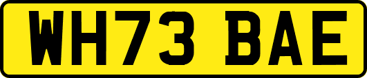 WH73BAE