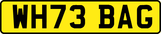 WH73BAG