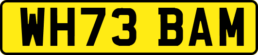 WH73BAM