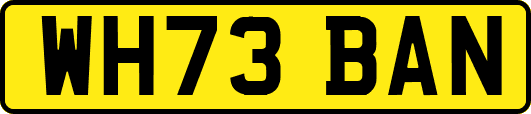 WH73BAN