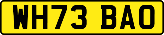 WH73BAO