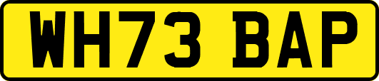WH73BAP