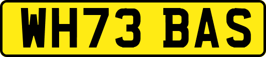 WH73BAS