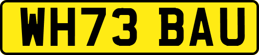 WH73BAU