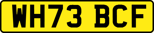 WH73BCF