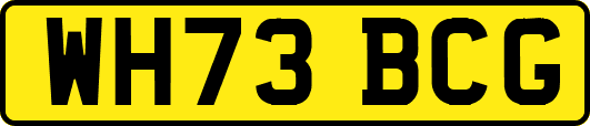WH73BCG
