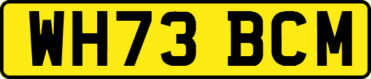 WH73BCM