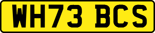 WH73BCS