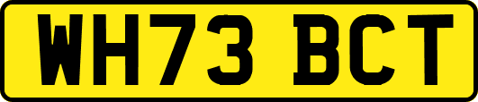 WH73BCT