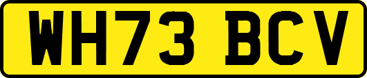 WH73BCV