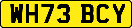 WH73BCY