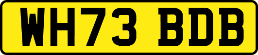 WH73BDB