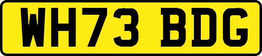 WH73BDG