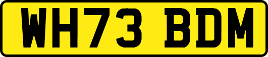 WH73BDM