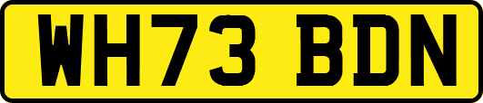 WH73BDN