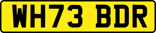 WH73BDR