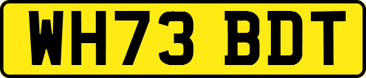 WH73BDT