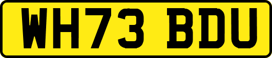 WH73BDU