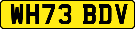 WH73BDV