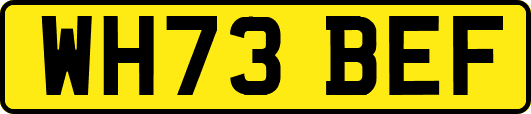 WH73BEF