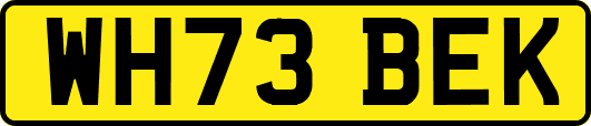 WH73BEK