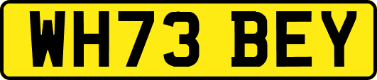WH73BEY
