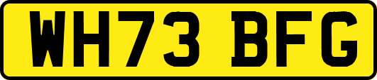 WH73BFG