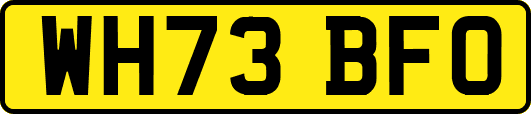 WH73BFO