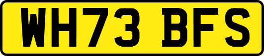 WH73BFS