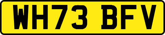 WH73BFV