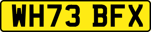 WH73BFX
