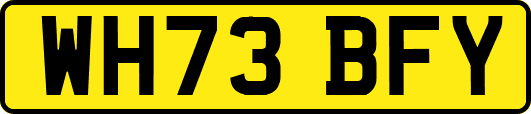 WH73BFY