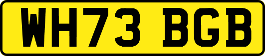 WH73BGB