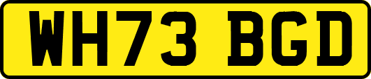 WH73BGD