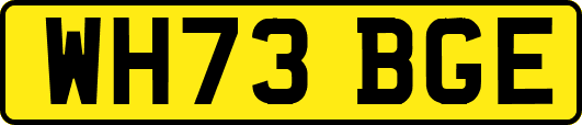 WH73BGE