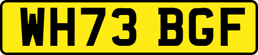 WH73BGF