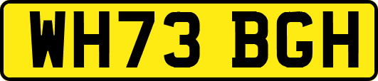 WH73BGH