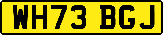 WH73BGJ