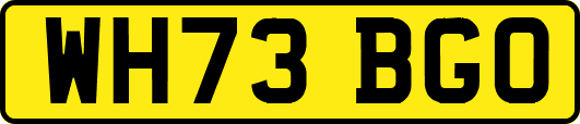 WH73BGO