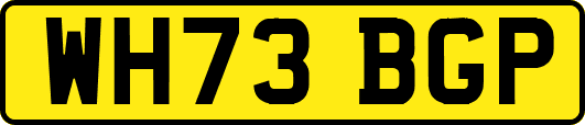 WH73BGP