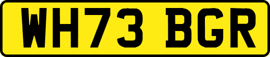 WH73BGR
